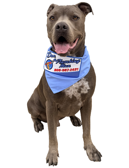 Blu is an integral part of amarillo's local plumbing company started by Dan, one of the most trusted plumbers in amarillo, TX and surrounding area.